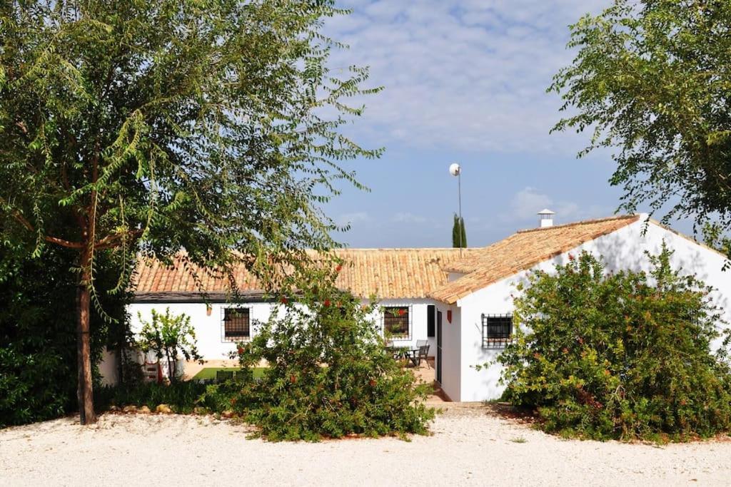 Casa Rural La Linana Κόρδοβα Εξωτερικό φωτογραφία